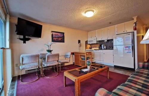 Enjoy the Long Range View, Ski in n out Top of the Mountain condo - Foto 7