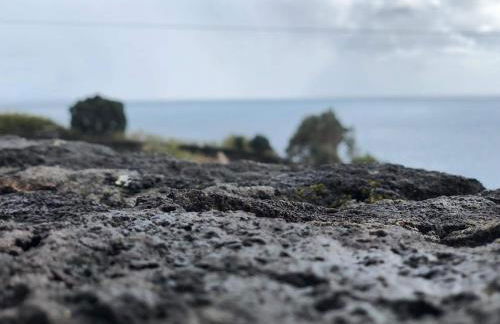 Casa Avó Amélia - Photo 11