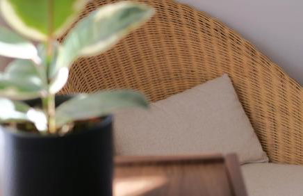 Mas Labrugade - Foto 47