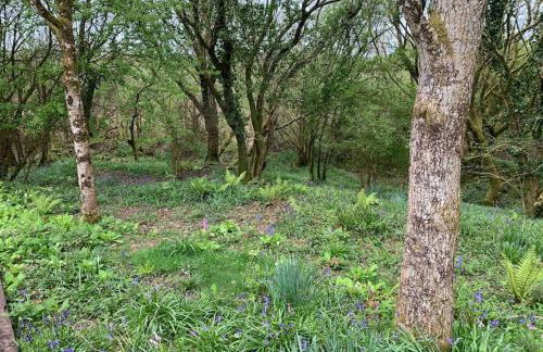 Shepherd's Hut - Sleeps 2 - Pet Friendly - Parking - Foto 31