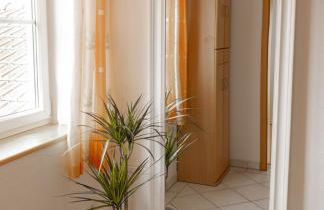 AlzBlüte - Photo 35