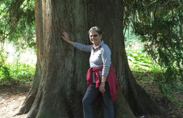 GreenHolidays - Foto 37