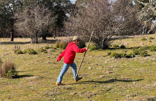 Monte da Aferrada - Casas do Monte - Foto 46
