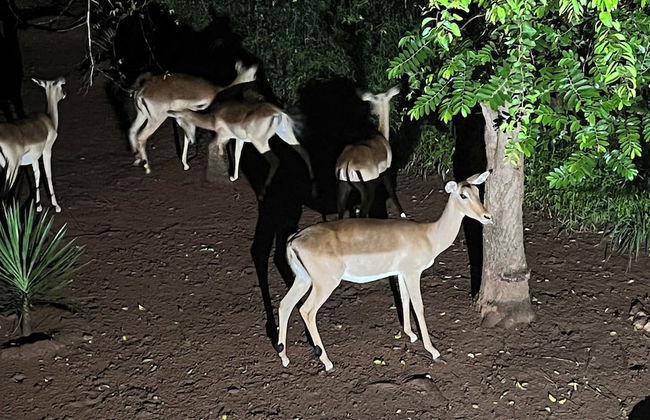 Kruger Kumba - Mugwenzi - Photo 56