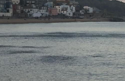 Little Monmouth 4 bedroom cottage, Old town Lyme Regis, dog friendly and parking - Photo 36