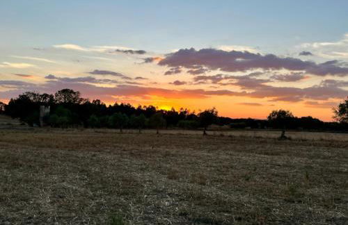Monte Da Serralheira Agro Turismo - Foto 76