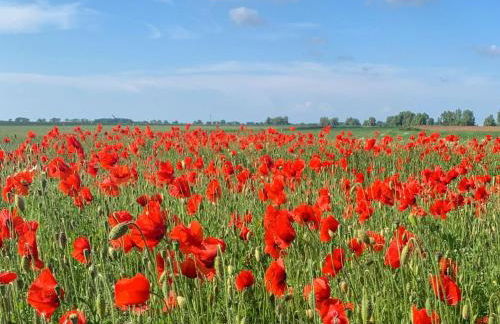 Ferienwohnungen Klein Kapelle - Foto 4