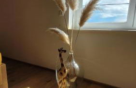 FeWo Weitblick - Foto 11