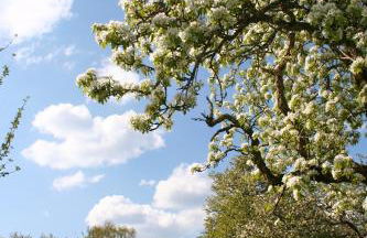 Ferienwohnung Endlich Ferien - Foto 18