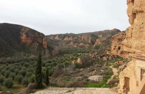 Hábitat Troglodita Almagruz - Foto 64