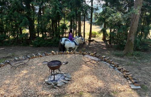 2 Guests - Pet Friendly - Traditional Gypsy Vardo - Foto 32