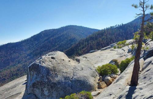 Redwood Retreat, Mountains, Adventure and Nature - Foto 37