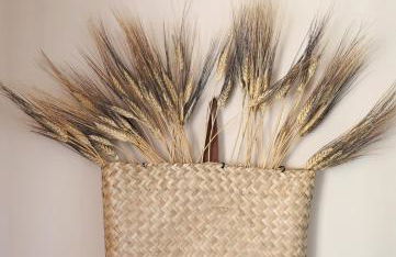 Maistrali Studio Ostria - Photo 8