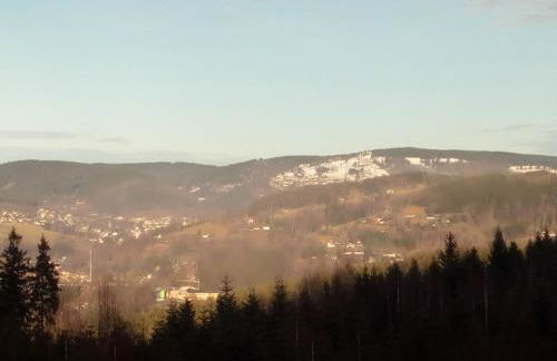 Ferienwohnung Döhlerwald - Photo 22