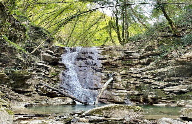 Tuscany Family Country Home - Photo 28