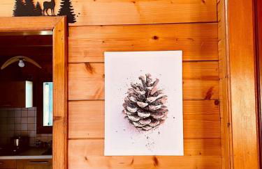 Maison Maneki Chalet Évasion 8 personnes en bord de lac - Foto 18