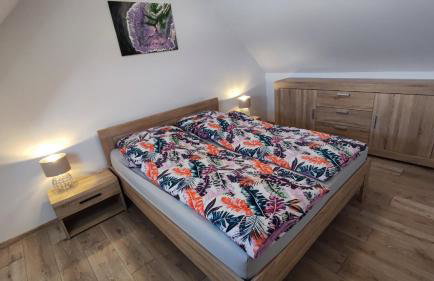 Blu Raj - domy w Sudetach - Foto 31