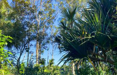 Casa de Campo & Home Office - Itapecerica da Serra , perto do Embu das Artes - Photo 60