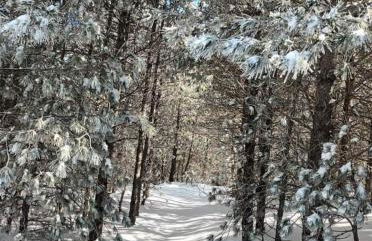 Alojamiento Salas - Foto 42