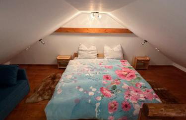 Domki Pod Brzoza - Foto 1