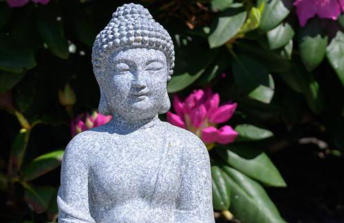 Ferienwohnung-Weidenstieg-OG - Foto 21