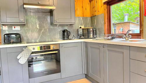 Snowdrop 13-Hot Tub-Woodlandlodges-Carmarthenshire - Foto 2