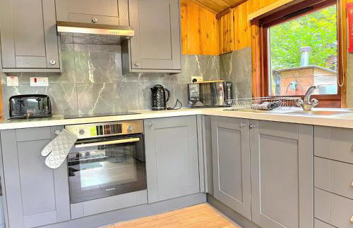 Snowdrop 13-Hot Tub-Woodlandlodges-Carmarthenshire - Foto 2