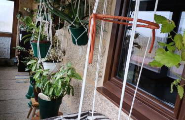 O Campo DaFolla - Foto 35