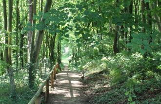 La Parenthese Bois de Cise - Foto 48