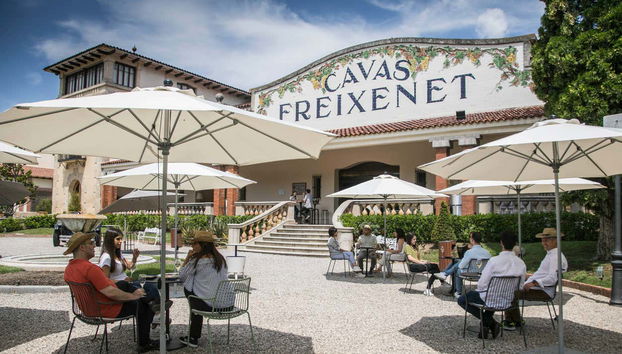 Freixenet Winery Tour - Photo 2, Tasting area terrace