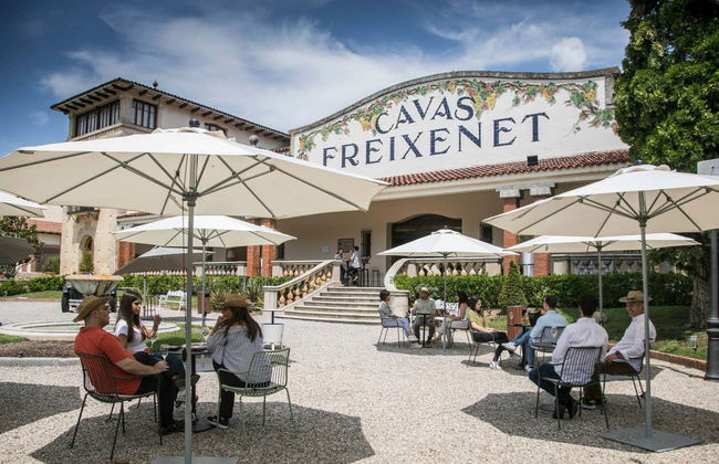 Visita a la bodega Freixenet - Foto 2
