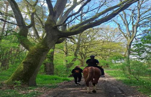 Chalet in Wendorf - Photo 22