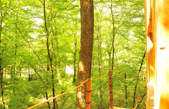 Cabanes de l'Espace Fouletot - Foto 18