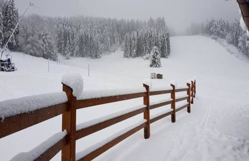 Haus Sonnenschein an der Skipiste - Foto 27
