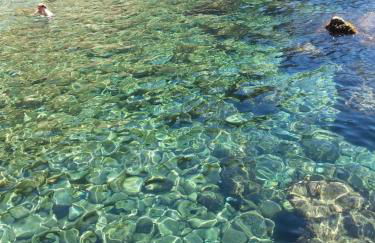Ca'la Luna - in centro con terrazza - Foto 54