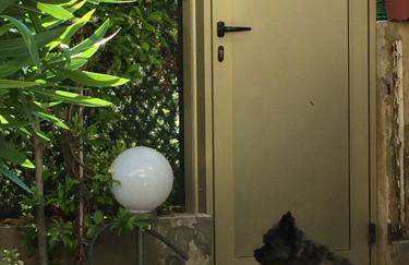 Cannes Croisette &Palm beach,parking - Foto 7