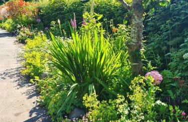Topsy-Turvy, Gardeners Cottage, Clungunford, Ludlow, Shropshire SY70PN - Foto 8