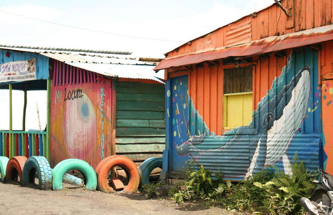 Whale Watching from Cali - Photo 6