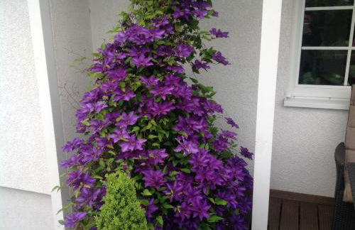 Ferienwohnung "Vier Pfoten" in Korbach - Foto 18