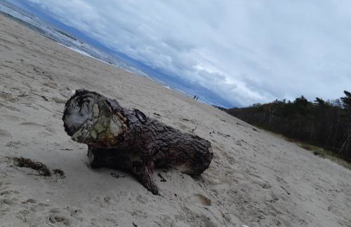 Apartamenty Platinum 2 - Foto 24