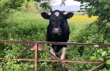 The Stable with cozy logburner - Foto 32