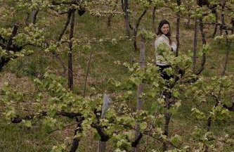 Cabanas Vinsanto - Foto 56