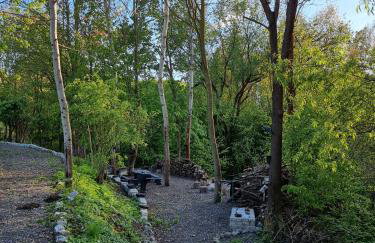 Apartamenty Salamandra - Foto 24