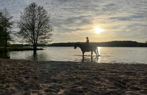 Apartment Grüne Welle - Foto 18