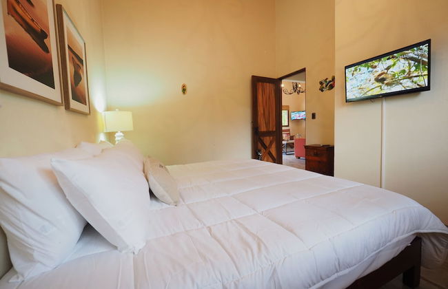 Opera Salvaje N.27 - Foto 5