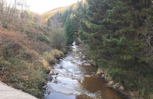 Afan forest-Cregan Cottage-Pet friendly - Foto 8