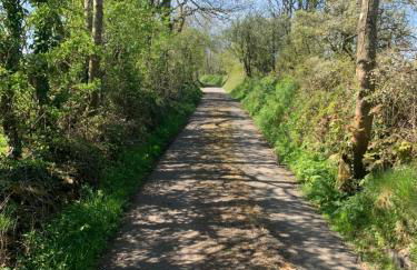 Coed Bach Suite - Foto 14