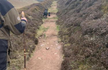 The Hayloft, Wall End Farm - Foto 23