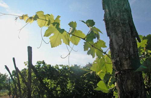 Canonica di Corteranzo - Foto 38