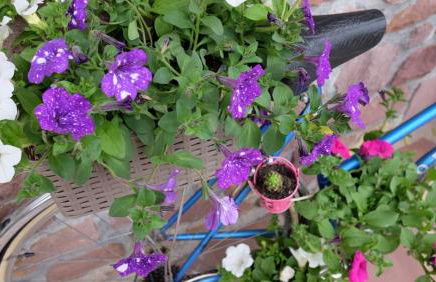 Casa Rural Amazonas - Foto 30